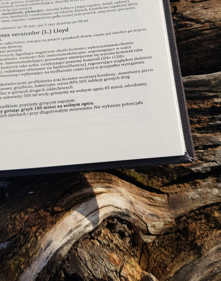 Książkowy kalendarz zbioru ziół 2026/2027 okładka MNISZEK planner – zdjęcie 20