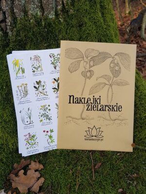 20241214_115344 popr