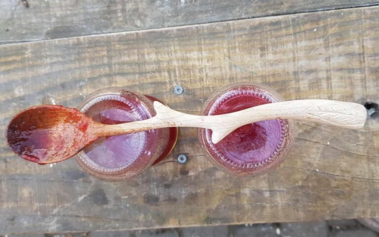 Tworzenie Domowej Apteczki z Darów Natury