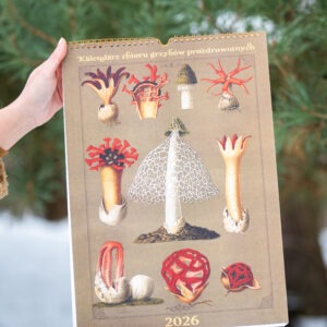 Kalendarz Zbioru Grzybów Prozdrowotnych 2026 format A3