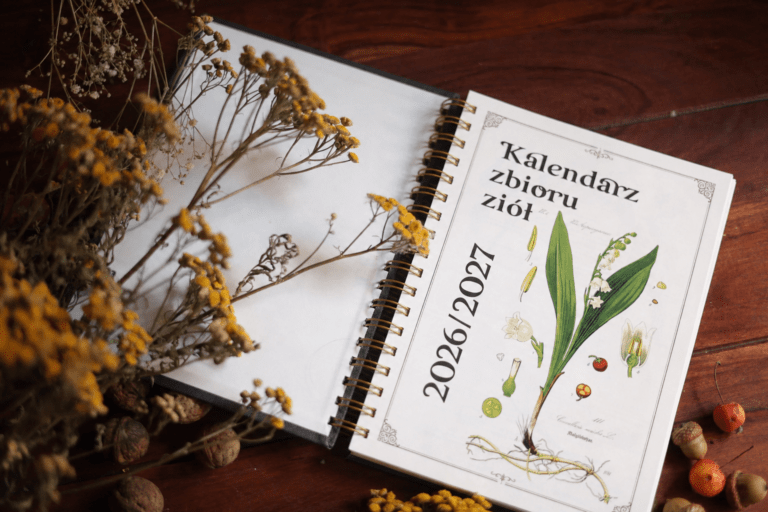 Książkowy kalendarz zbioru ziół 2026/2027 okładka MNISZEK planner – zdjęcie 2