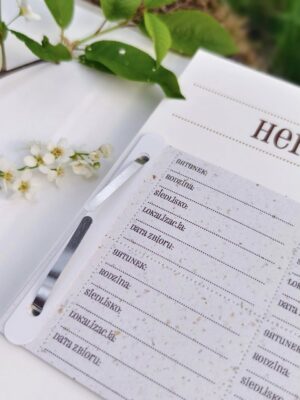 490807277_1123774303099516_1921585753262886459_n