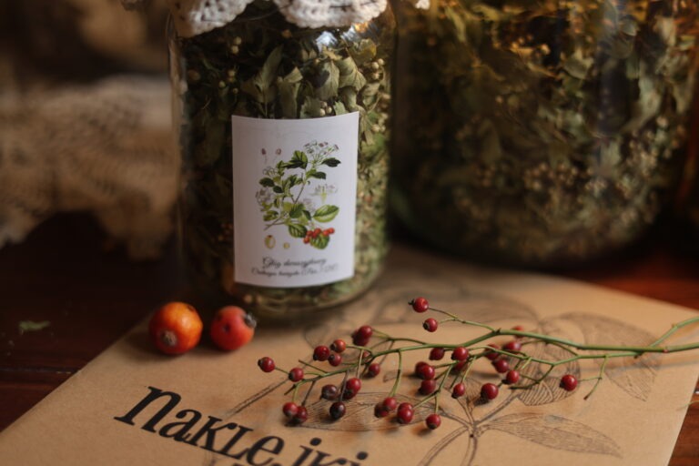 Zestaw botanika - ZIELNIK + NAKLEJKI ZIELARSKIE MINI – zdjęcie 4