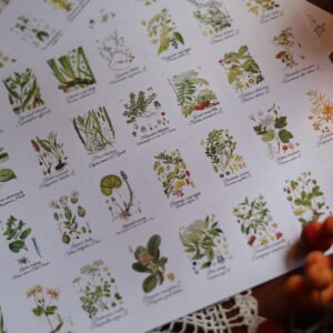 Naklejki zielarskie - MINI 3,75 x 5,2 cm z ziołami